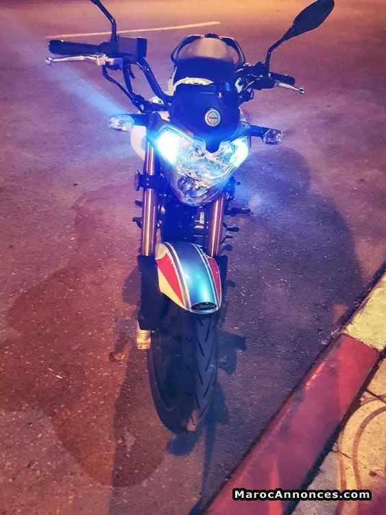 Benelli vlx - الدار البيضاء (2)