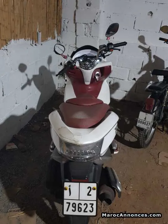 Pcx jaguars - الدار البيضاء (2)