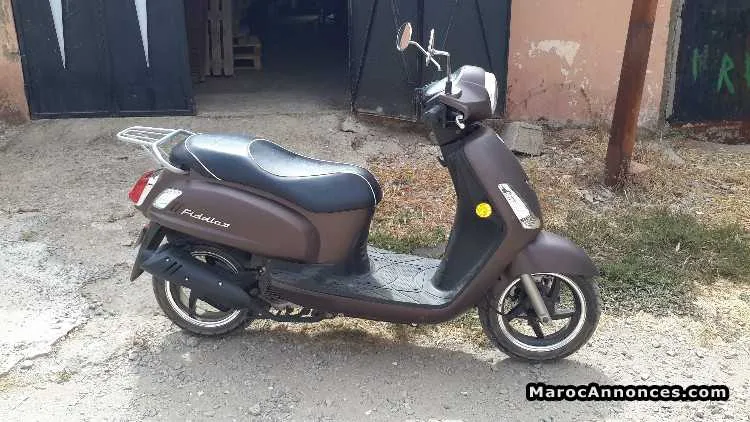 Vente d'une moto sym fiddle presque neuve - الدار البيضاء (3)