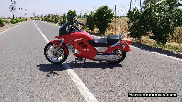 Dorado corvus 250 cc - الدار البيضاء (2)