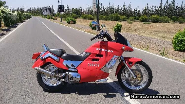 Dorado corvus 250 cc - الدار البيضاء