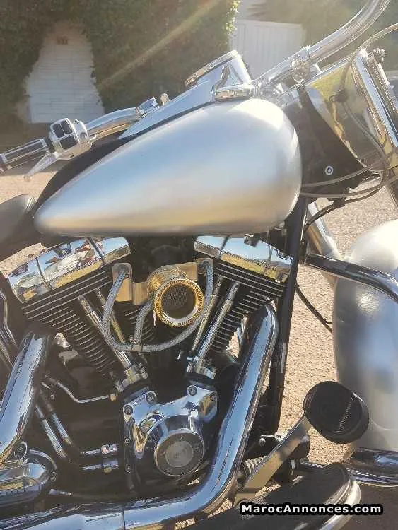 Harley davidson heritage softail - الدار البيضاء (3)