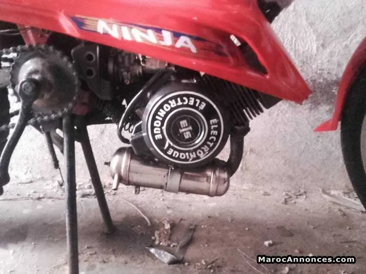 Ninja 2010 - الدار البيضاء (3)