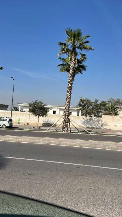 Opportunité exceptionnelle villa à vendre - الدار البيضاء (2)