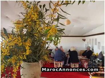 Eco-lodge a vendre region d'el jadida - الدار البيضاء (2)