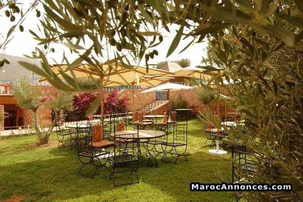 Camping hébergement - الدار البيضاء (3)