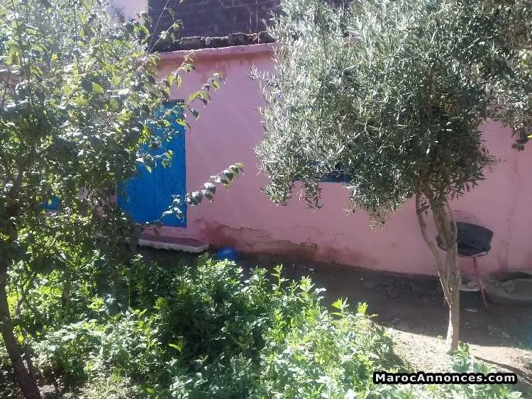Maison a la region d'ourika a vendre - الدار البيضاء (3)