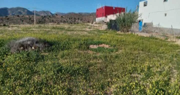 بقعة 113 متر للبيع بإيمي ودار على بعد دقائق من الب - Tout le Maroc / (2)