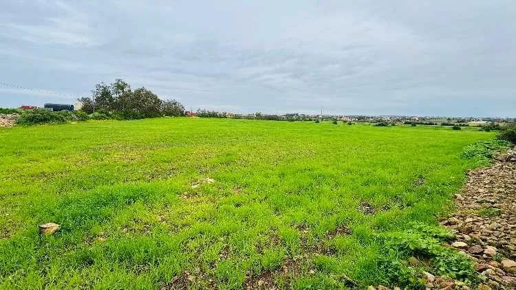 Terrain à vendre - الدار البيضاء (2)