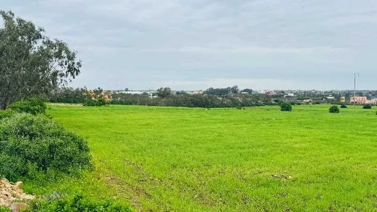 Terrain à vendre - الدار البيضاء (3)