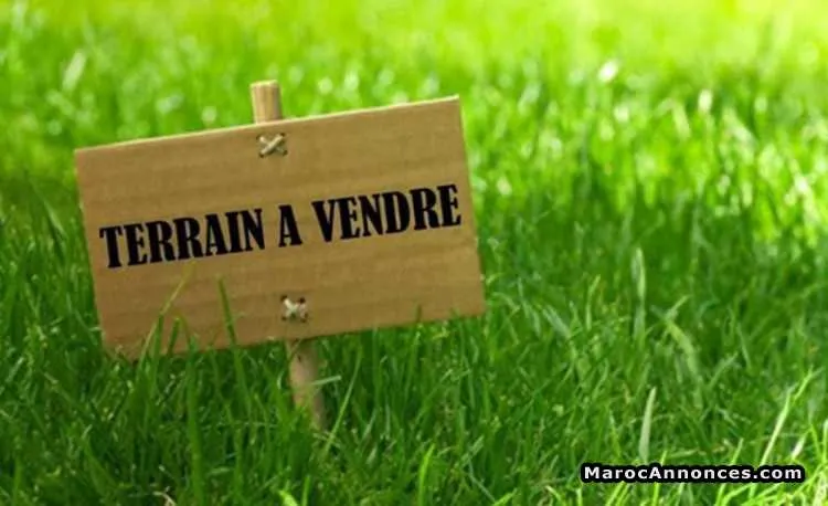 Terrain en zone immeuble à al batha extension - الدار البيضاء