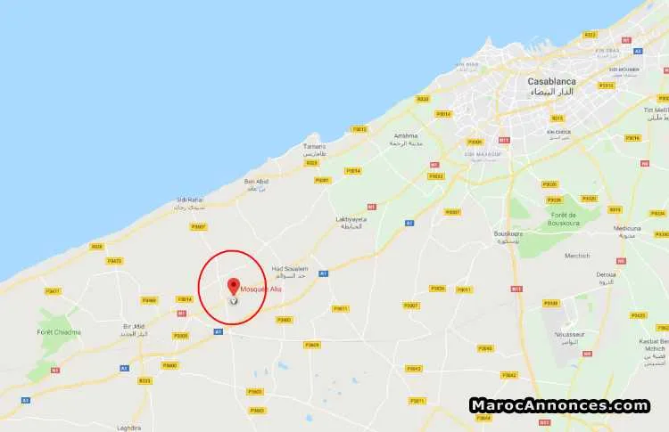 Terrain de 100 m2  had soualem - الدار البيضاء (2)