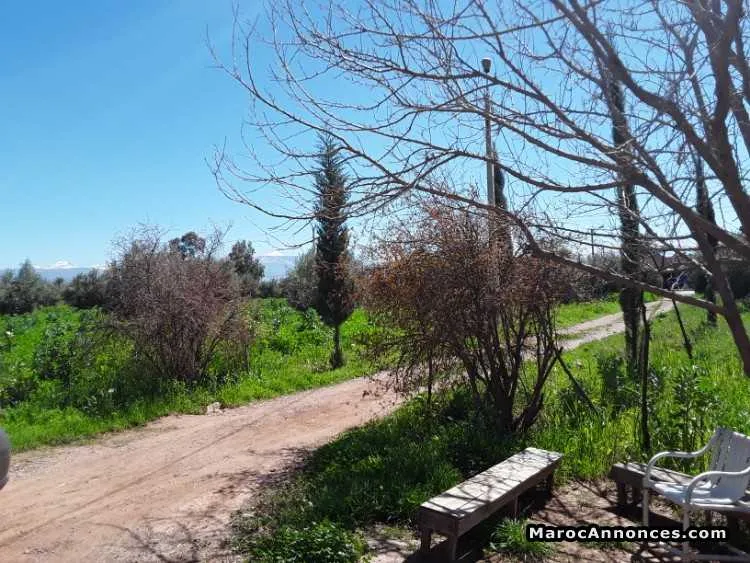 Vente terrain à route de ouarzazate - الدار البيضاء