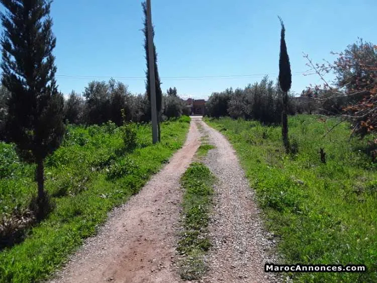 Vente terrain à route de ouarzazate - الدار البيضاء (3)