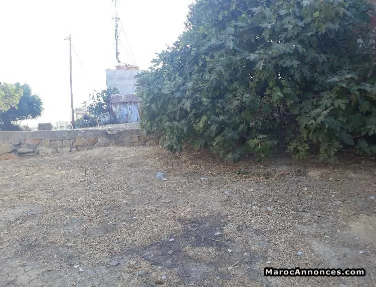 Terrain 439 m2 tanger - الدار البيضاء (3)