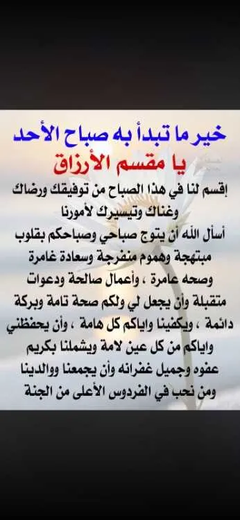 Apppartement a louer a errachidia - الرشيدية