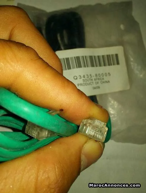 Câble ethernet  type(1cm) - الدار البيضاء (3)