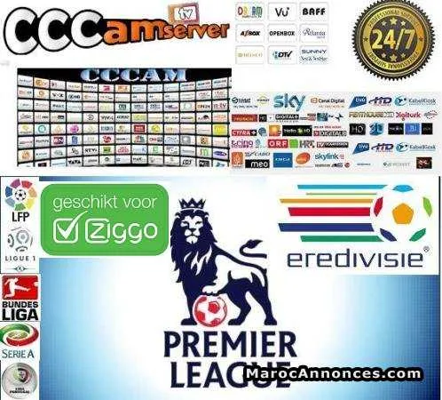 Cccam servers vip abonnement 12 mois 10 lines - الدار البيضاء