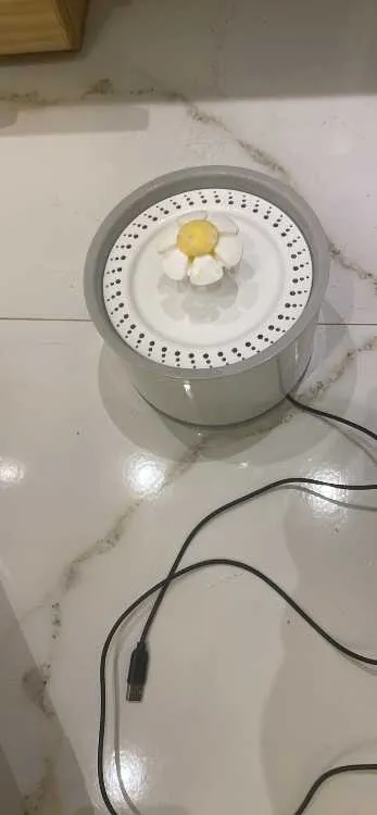 Accessoires pour chat - الدار البيضاء (2)
