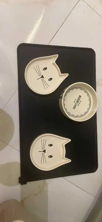Accessoires pour chat - الدار البيضاء (3)