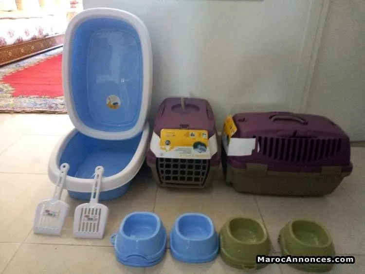 Accessoires pour chat et chien - الدار البيضاء (2)