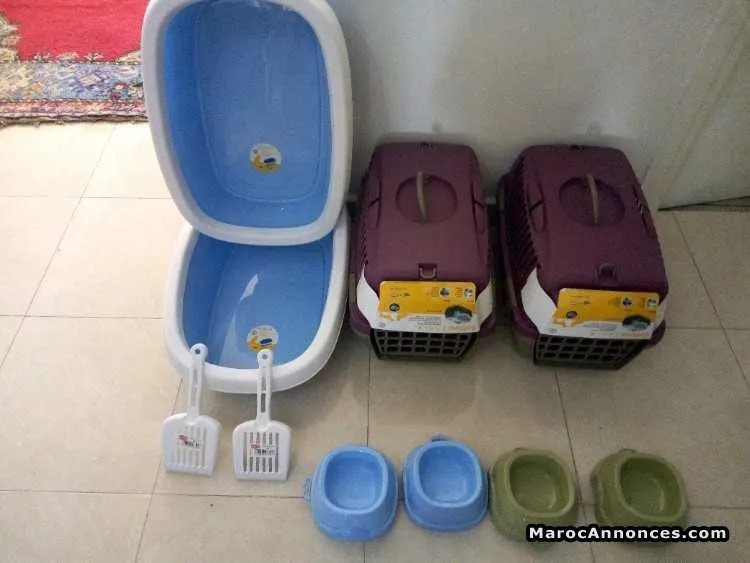 Accessoires pour chat et chien - الدار البيضاء