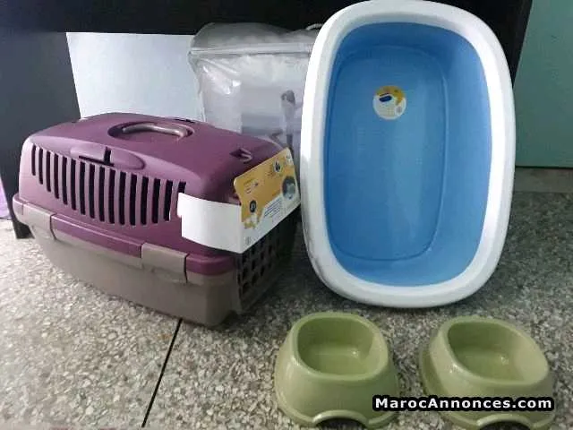Accessoires neuf pour chat est chien - الدار البيضاء (2)