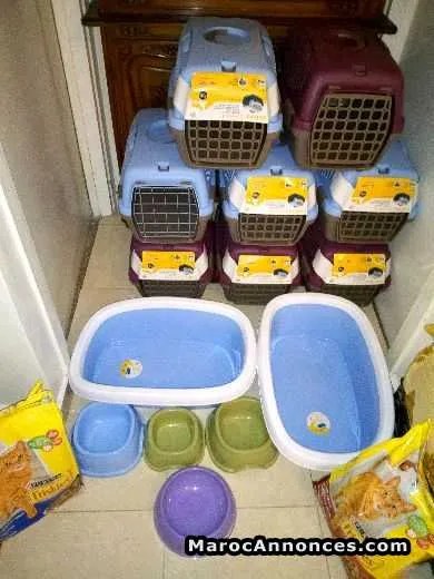 Cages pour chat / chiot - الدار البيضاء (2)