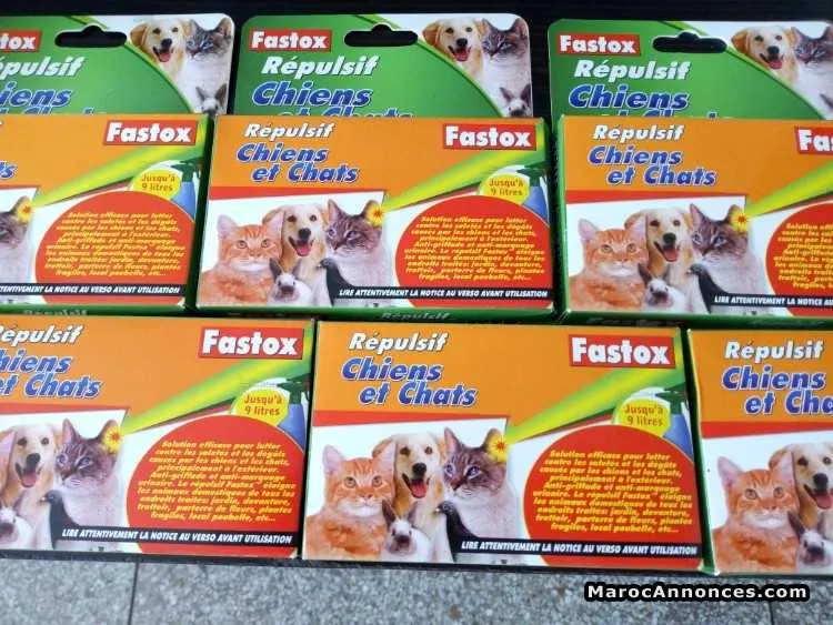 Cages pour chat / chiot - الدار البيضاء (3)