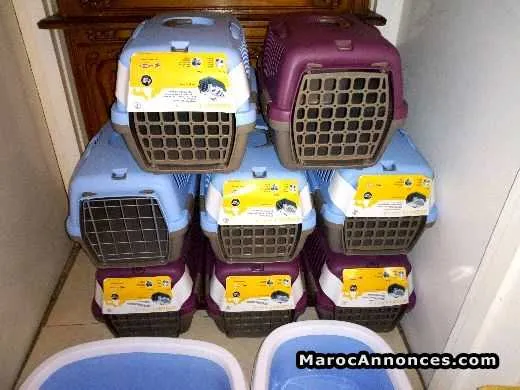Cages pour chat / chiot - الدار البيضاء