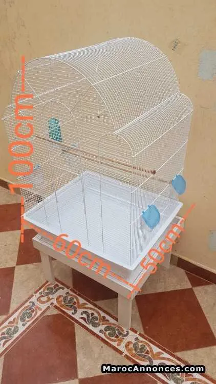 Grande cage oiseaux - الدار البيضاء