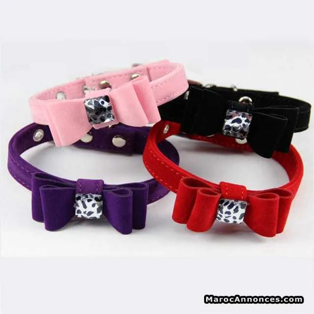 Collier pour chien et chat - الدار البيضاء