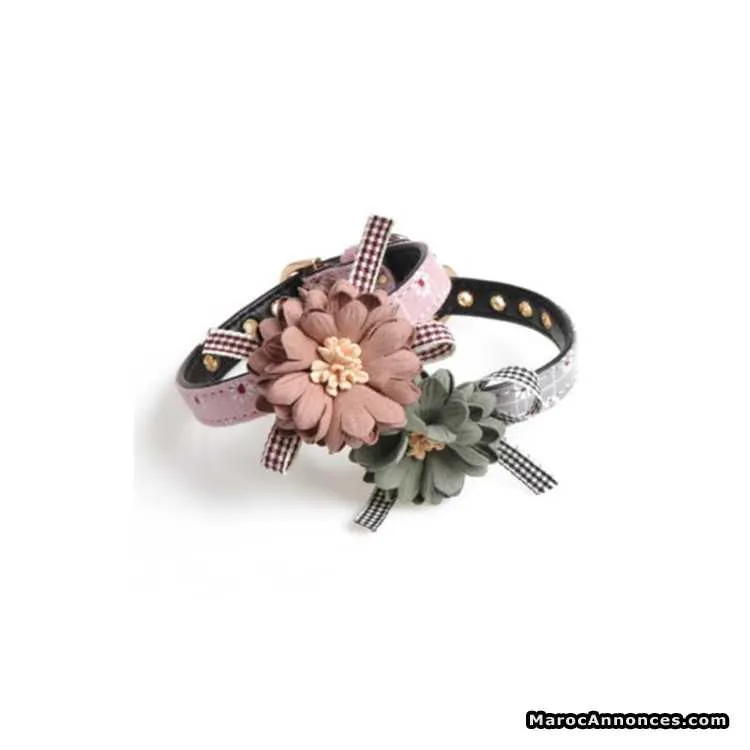 Collier pour chien et chat - الدار البيضاء (2)