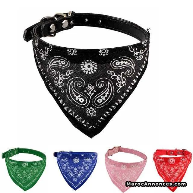 Collier pour chien et chat - الدار البيضاء (3)
