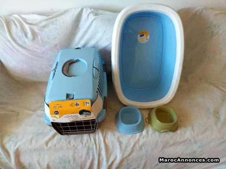 Accessoires neuf pour chat est chiot - الدار البيضاء (3)