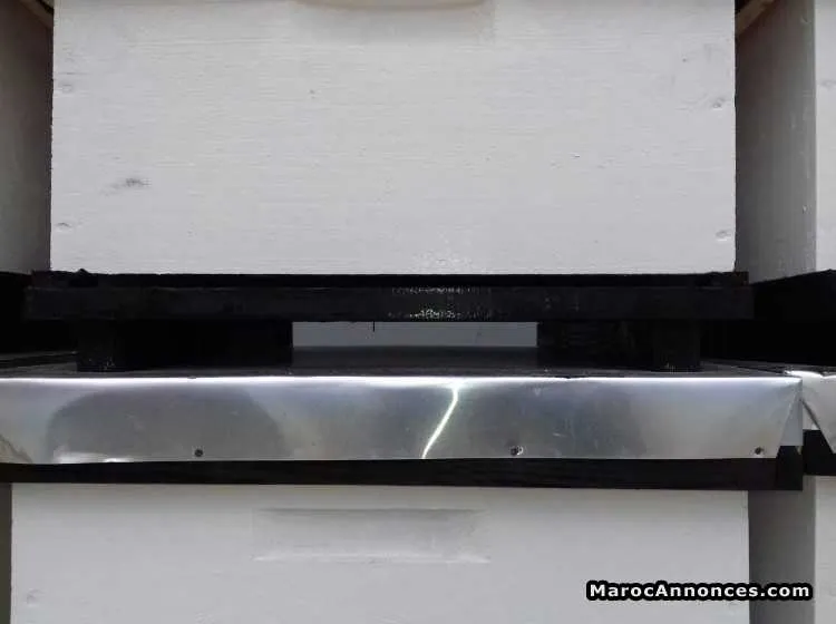 صندوق نحل - الدار البيضاء (2)