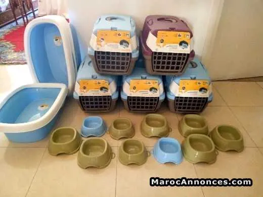 Articles italiennes pour chat - الدار البيضاء (2)