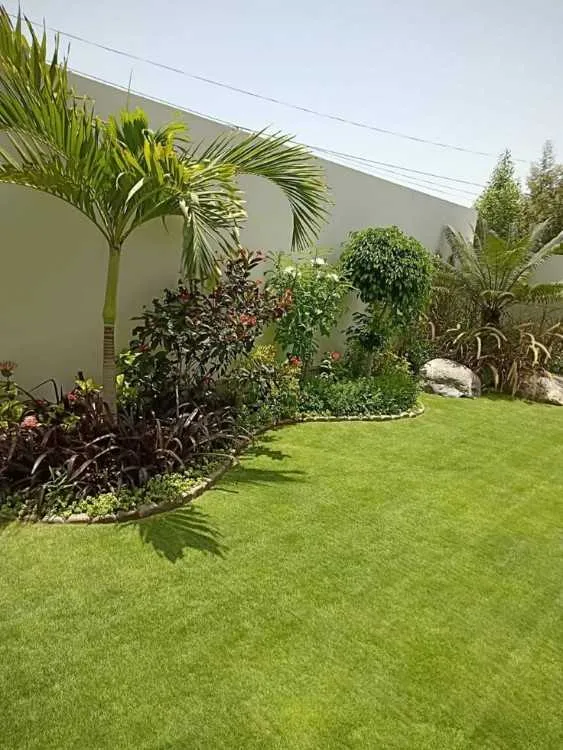 Service jardinage - مكناس (3)