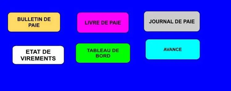 Vente logiciel de gestion de la paie - الدار البيضاء (2)