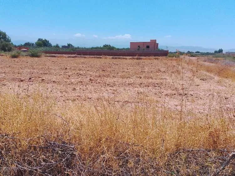 Route ourika km24 - مراكش (2)