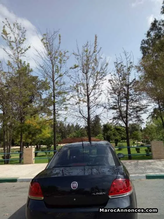 Fiat linea a vendre - بن سليمان (3)