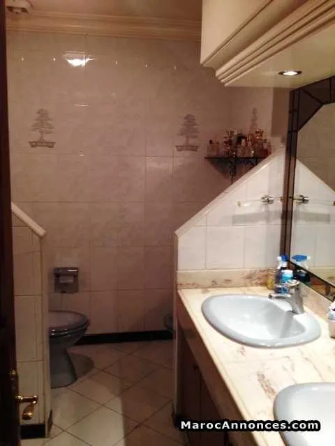Appartement 344 m2 à vendre, racine, casa - الدار البيضاء (3)