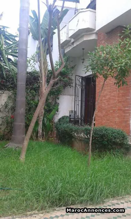 Vente villa 375 m² sidi maarouf, casablanca - الدار البيضاء (3)