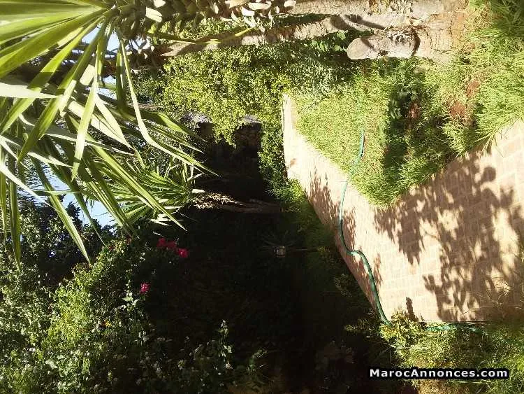 Villa à bouskoura - بوسكورة (2)