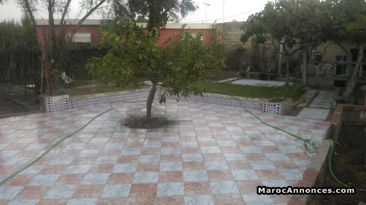 Villa à vendre - الدار البيضاء (3)