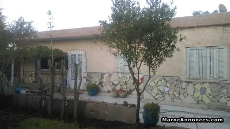 Villa à vendre - الدار البيضاء