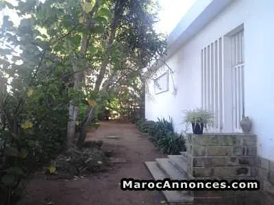Villa de 1900 m² à mohammedia - الدار البيضاء