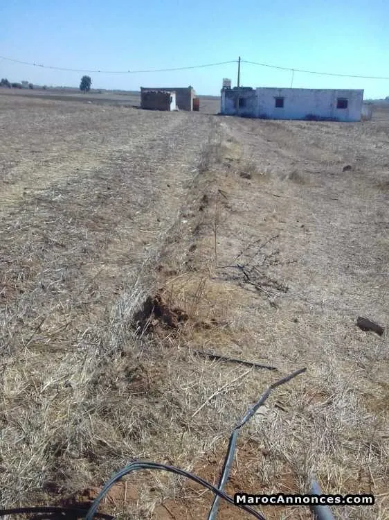 Terrain a vendre - الدار البيضاء