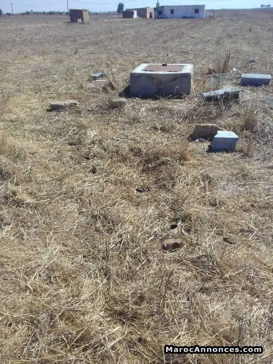 Terrain a vendre - الدار البيضاء (3)