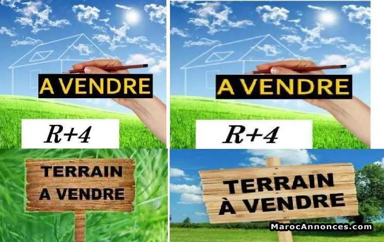 Terrain r+5 bon affaire - الدار البيضاء